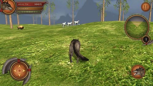 Wolf simulator 2: Pro for iPhone for free