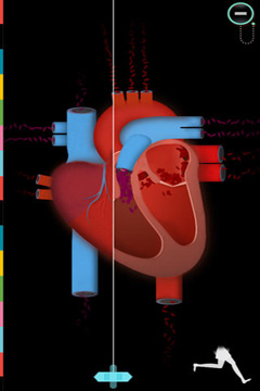 El Cuerpo Humano por Tinybop Imagen 1