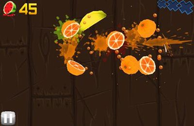 Fruit Ninja