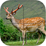 Sniper game: Deer hunting icon