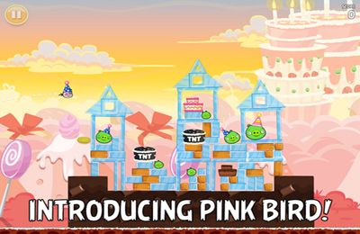 Shooter games Angry Birds HD: Birdday Party