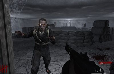 Call of Duty World at War Zombies II