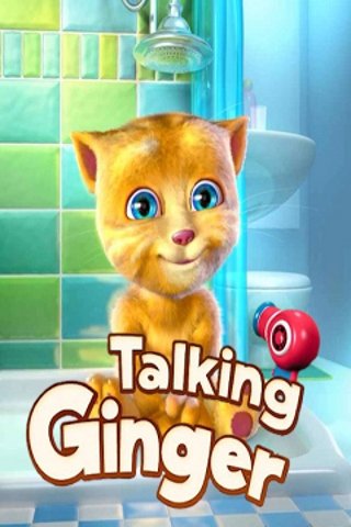 logo Talking Ginger