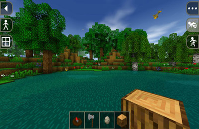  Survivalcraft