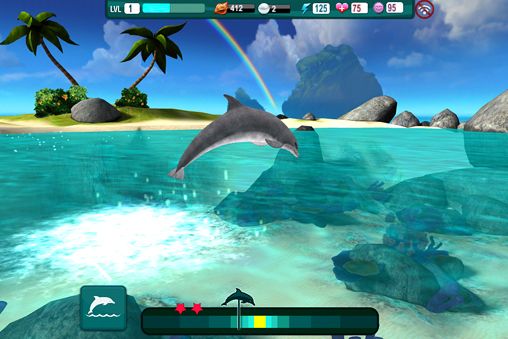 Dolphin paradise: Wild friends for iPhone for free