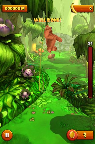 Sr. Kong em português