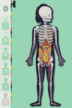  El Cuerpo Humano por Tinybop en español