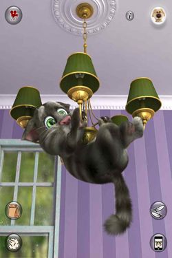  Talking Tom Cat 2