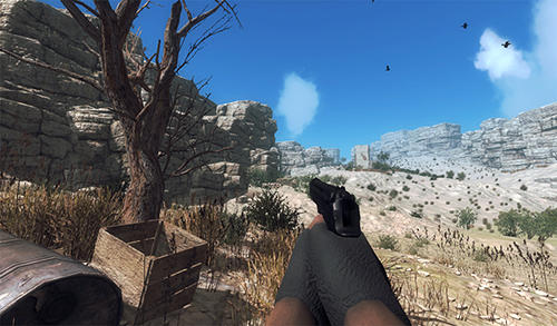 Desert storm for Android