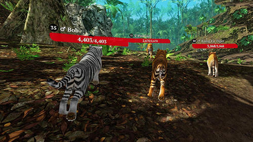 The tiger: Online simulator screenshot 1