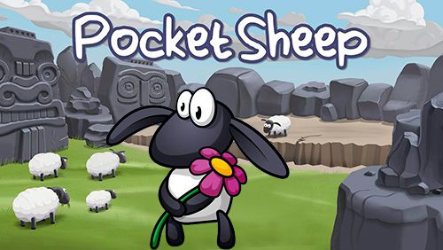 logo Pocket sheep