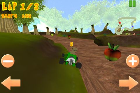 Kart louco