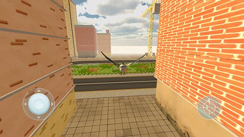 Pigeon simulator