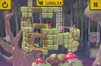 日本語のRinth Island 