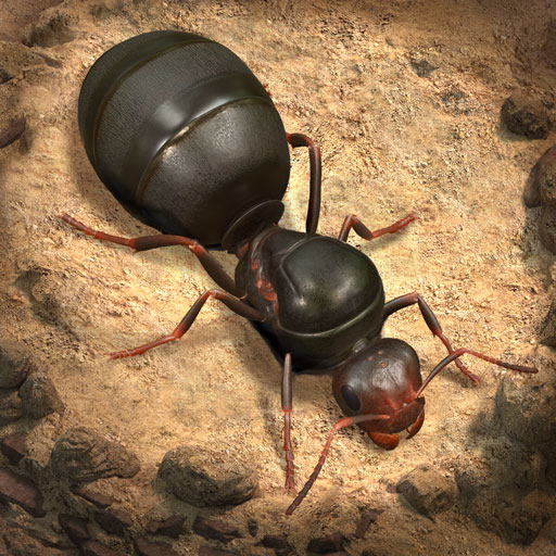 Иконка The Ants: Underground Kingdom