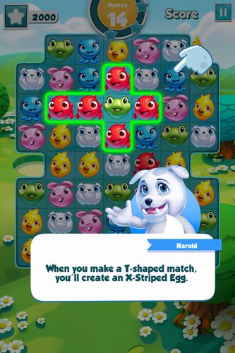 Puzzle pets