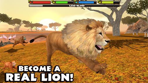 Ultimate lion simulator screenshot 1