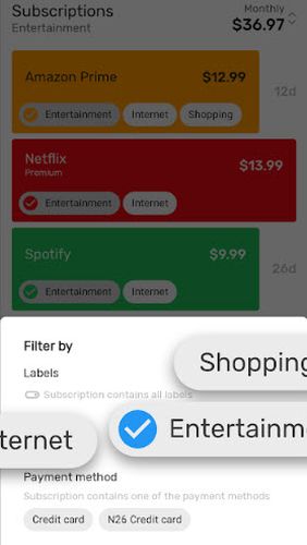  Subscriptions - Manage your regular expenses in English