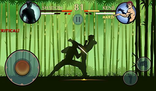  Shadow fight 2