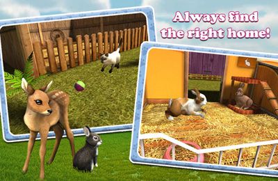 PetWorld 3D: My Animal Rescue