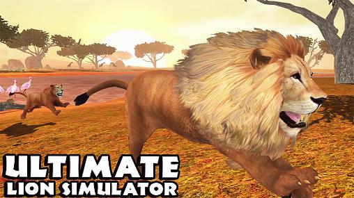 Ultimate lion simulator screenshot 1