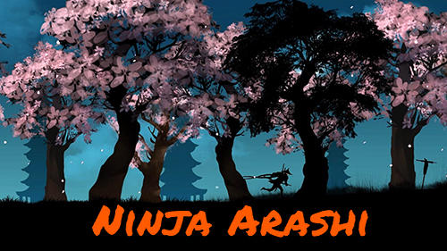 Ninja Arashi скриншот 1