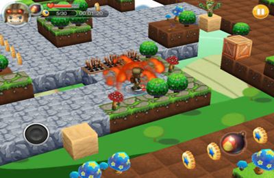 Rush!Bomber for iPhone for free