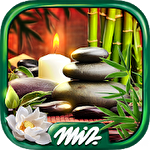 Mystery objects zen garden icon