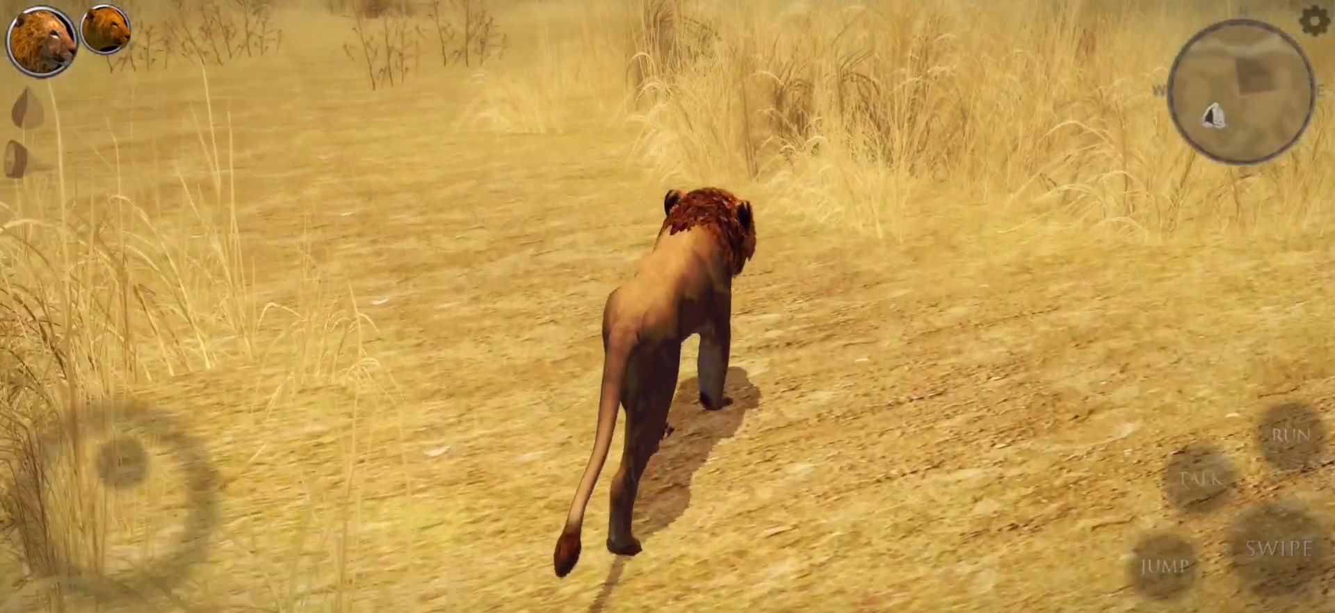 Ultimate Lion Simulator 2 screenshot 1