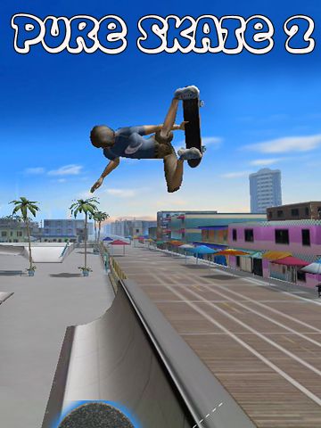 logo Skate puro 2