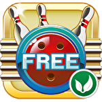 Rocka Bowling 3D icon