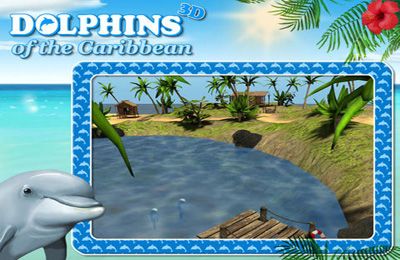 logo Aventura nas Caraíbas - Caça ao tesouro com golfinhos