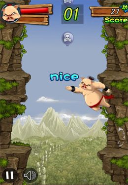 Kung Fu Master: Pig for iPhone for free