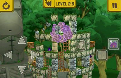 Rinth Island