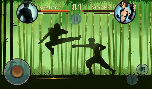 Shadow fight 2