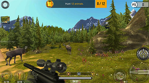 Wild hunt: Sport hunting game