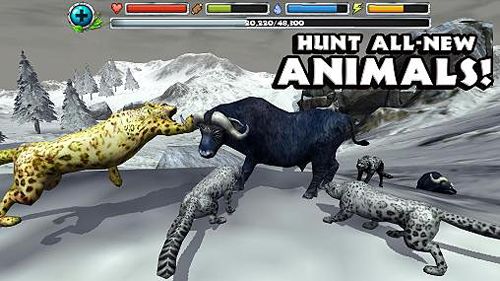  Snow leopard simulator