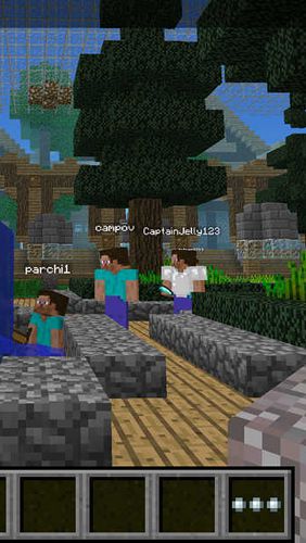 Online games Multiplayer for minecraft