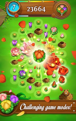 Blossom blast: Saga in Russian